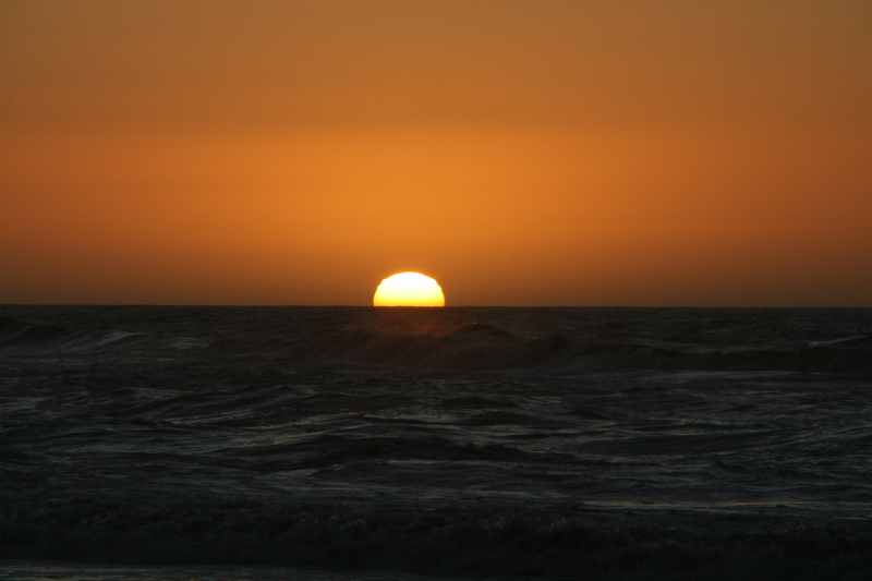 Nieuw-Zeeland 2011 - 1378